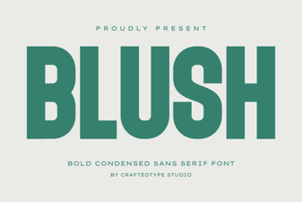 Blush Font: Elegant Script for Creative Design Projects